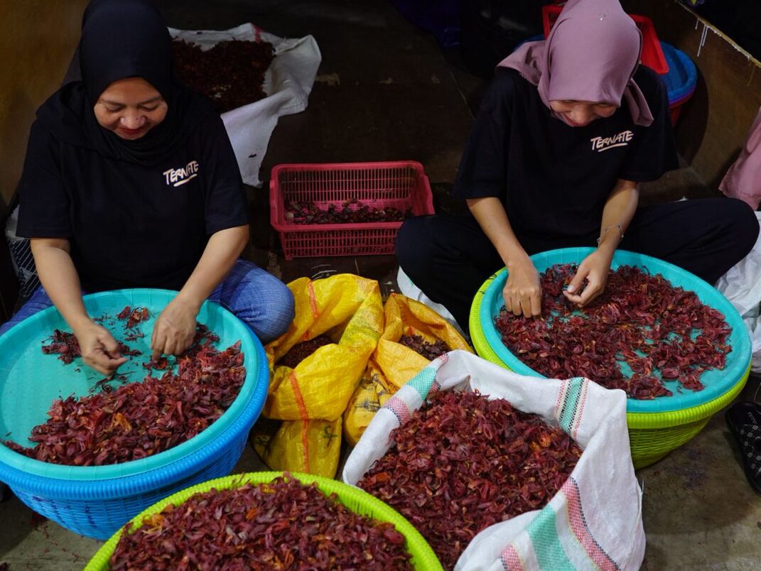 whatsapp image 2025 10 31 at 10.06.44